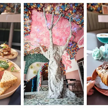 Center 卢布尔雅那